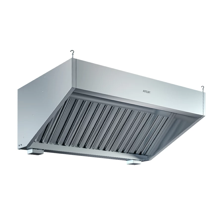 Зонт вентиляционный Atesy ЗВН-2/1000/2200