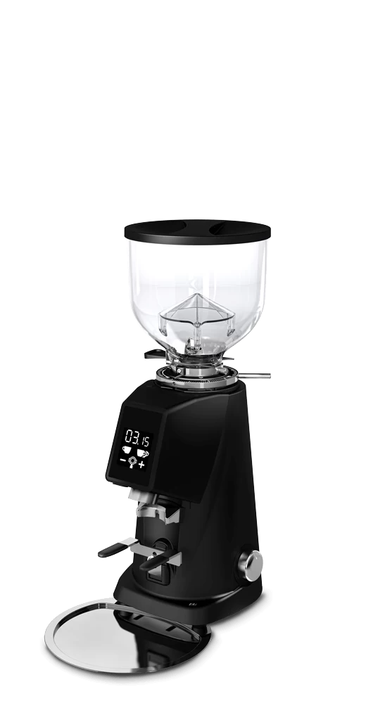 Кофемолка Fiorenzato F4 EVO черный