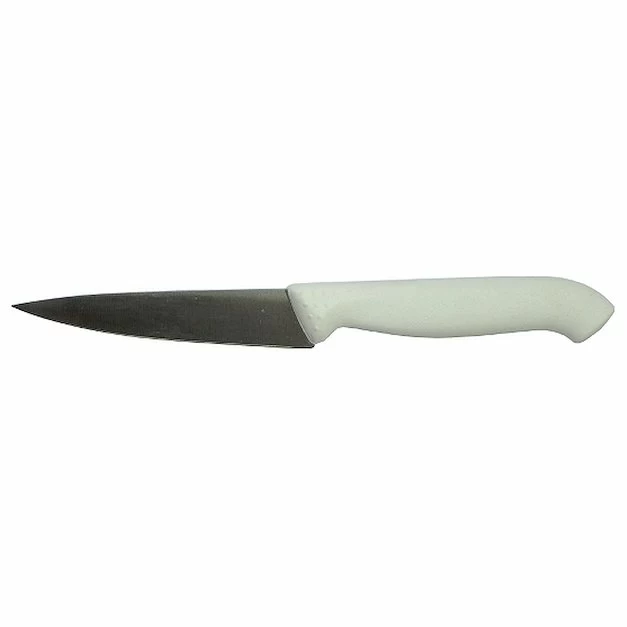 Нож для овощей 100/210 мм. белый HoReCa Icel /1/6/