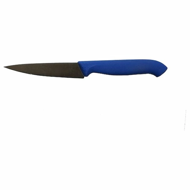 Нож для овощей 100/210 мм, синий HoReCa Icel /1/