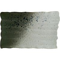 Блюдо прямоугольное 280*185 мм. Гайя /1/4/