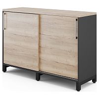 Шкаф-купе Kobor HK/2-120/60/M black/natural