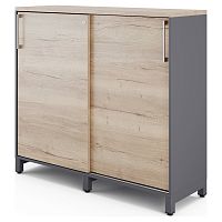 Шкаф-купе Kobor HK/3-120/40/M graphite/natural