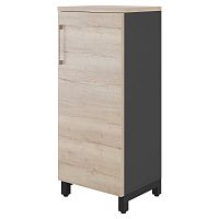 Шкаф распашной Kobor HR/3-45/60/M black/natural