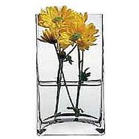 Ваза для цветов h=180 мм. d=80 мм Ботаника Б /6/