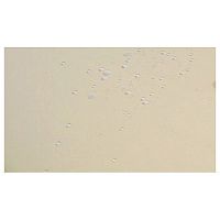 Скатерть 145*145 см. молоко гладь /3/