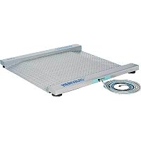 Платформенные весы CAS R-600