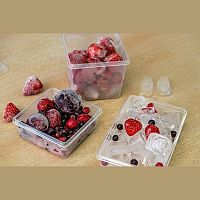 Контейнер для продуктов прямоуг. 0,75 л. 18,5*12*9,1 см. п/п для заморозки (221100801/00)/1/13/