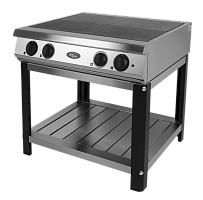 Плита электрическая Grill Master Ф4ЖТЛпэ (24005) без духовки