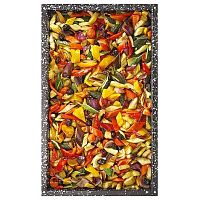 Противень Lainox эмалированный S1102