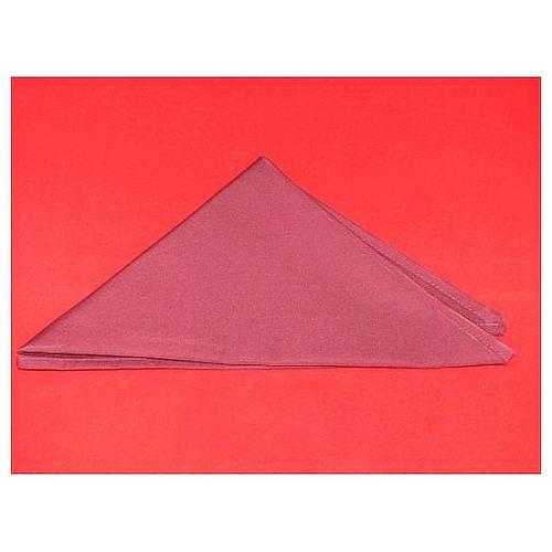 Платок шейный БОРДО