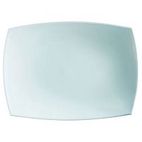 Блюдо прямоугольное l=350*260 мм. Ресторан /6/