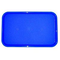Поднос 53*33см голубой (123) MG/10/