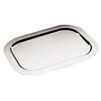 Поднос для подачи l=500*380 мм метал.