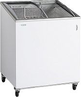 Ларь морозильный TEFCOLD IC200SCEB