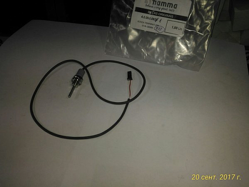 Датчик температуры 4.0.000.0939 (G1/8 - 200мм) для кофемашин т.м. FIAMMA, серии Compass