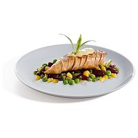 Тарелка d=270 мм. Эволюция Гранит /6/24/