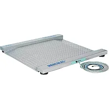 Платформенные весы CAS R-600
