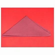 Платок шейный БОРДО