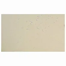 Скатерть 145*200 см. молоко гладь /3/