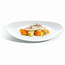 Блюдо для стейка l=300*260 мм. Solutions Evolution Steak (L2811) /6/