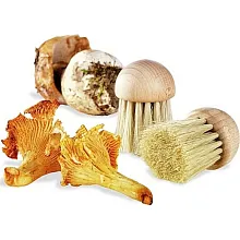 Щетка для чистки грибов d=4 см. щетина h=3,5 см. деревянная Tellier /1/