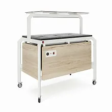 Модуль мобильный холодильный КОБОР AO120 white/nAOural/coal
