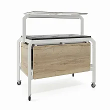 Модуль мобильный холодильный КОБОР AO120 white/nAOural/black